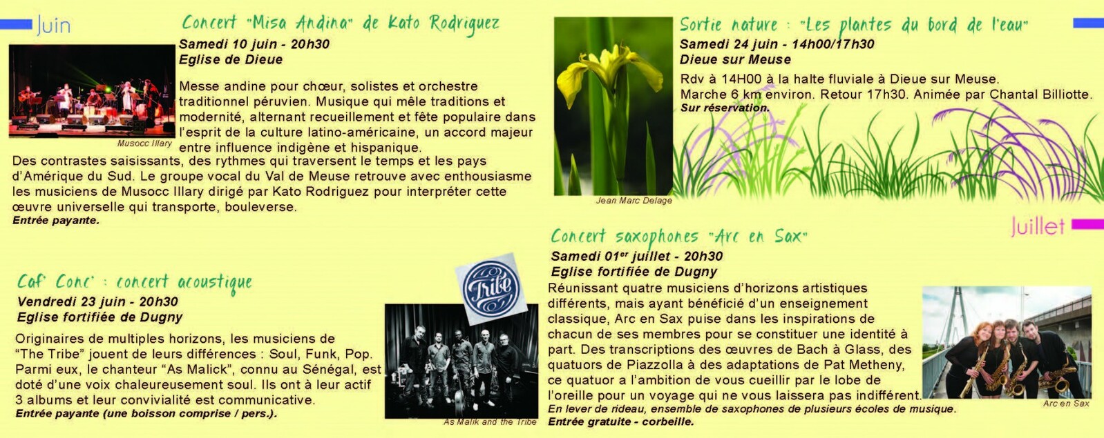 Description de l'image