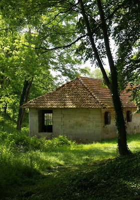 La grande pâture